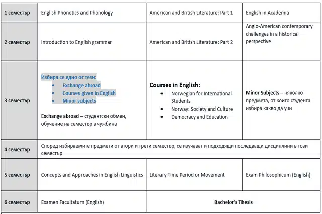 English Language Bachelor Norway